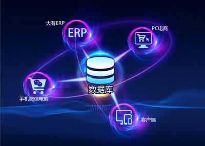 電子商務(wù)與互聯(lián)網(wǎng)數(shù)據(jù)服務(wù) 數(shù)字化商業(yè)新動力